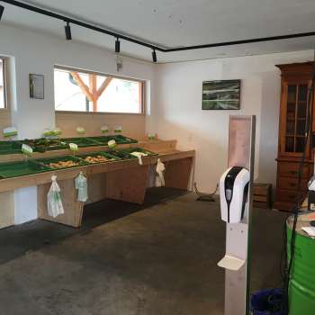 Espace libre-service du magasin Birkahoflädile avec des tables de vente vides et une caisse verte - vente à la ferme durable au Liechtenstein.