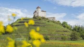 Vue du château de Gutenberg avec des fleurs jaunes au premier plan et un ciel bleu en arrière-plan