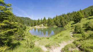 Petit lac de Sass à Malbun - une retraite paisible au milieu des sapins
