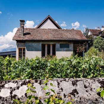 Maison traditionnelle du restaurant Torkel, entourée de vignes avec vue sur les Alpes.