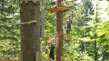 Deux personnes se concentrent sur un parcours de cordes entre les arbres.