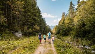 Une famille se promène sur un chemin naturel à travers la vallée verdoyante de la Valuna au Liechtenstein, entourée de forêts et de montagnes, sous le soleil.