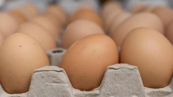 Œufs frais de Neufeldhof au Liechtenstein – directement du poulet à l'étagère, produits régionalement et durablement.