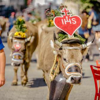 Une vache avec une décoration en forme de cœur et une couronne de fleurs lors de la traditionnelle montée à l'alpage au Liechtenstein