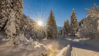 Paysage hivernal enneigé à Steg au Liechtenstein avec du soleil, des pistes de ski de fond et des arbres couverts de neige.