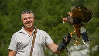 Le fauconnier Norman Vögeli avec un aigle