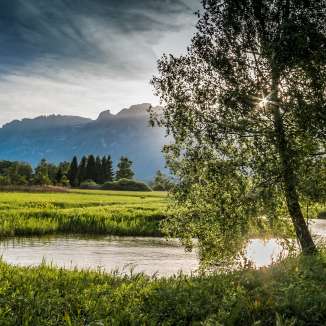 Lumière du soir évocatrice sur la réserve naturelle du Ruggeller Riet avec cours d'eau, arbres et vue sur les montagnes en arrière-plan.