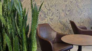 L'intérieur chaleureux de la boulangerie Amann