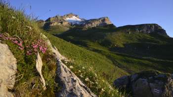 Mont Naafkopf Malbun