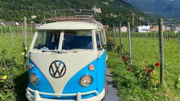 Bus VW nostalgique sur un chemin à travers les vignobles avec vue sur le château de Vaduz