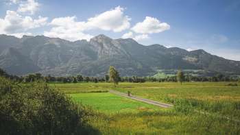 Vue prise par drone de réserve naturelle du Ruggeller Riet les montagnes en arrière-plan