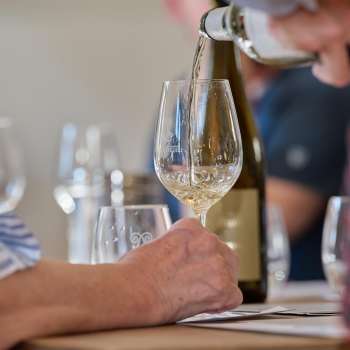 Un verre de vin blanc est versé pendant une dégustation guidée.