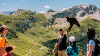 Une famille observe un fauconnier avec un oiseau de proie