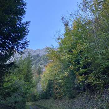 Ruines du château de Schalun près de Vaduz au Liechtenstein, situé de manière impressionnante sur un éperon rocheux avec vue sur les Alpes.