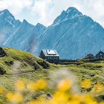 Vue lointaine sur le refuge Pfälzerhütte au Liechtenstein, avec des fleurs sauvages au premier plan et des sommets rocheux escarpés en arrière-plan.