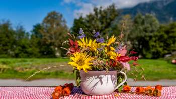 Bouquet de fleurs coloré dans une tasse nostalgique au Neufeldhof au Liechtenstein – une idylle régionale avec vue sur les Alpes. Bouquet de fleurs coloré dans une tasse nostalgique au Neufeldhof au Liechtenstein – une idylle régionale avec vue sur les Alpes.