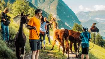Randonnée guidée en lama sur un sentier de montagne