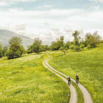 Deux gravel-bikers sur un chemin sinueux à travers un paysage de prairies en fleurs avec un panorama sur les Alpes au Liechtenstein - Faire du vélo dans une nature intacte