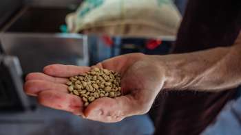 Gros plan sur une main montrant des grains de café de Demmel Kaffee