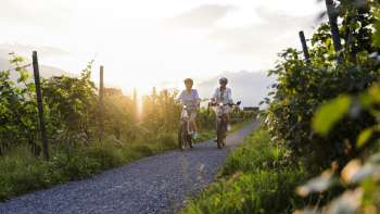Deux femmes pédalent à travers les vignes au coucher du soleil au Liechtenstein - plaisir de la nature et vacances actives au crépuscule
