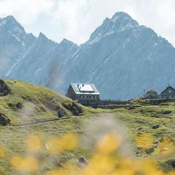 Refuge Pfälzer avec un décor de montagne en arrière-plan et des fleurs au premier plan.