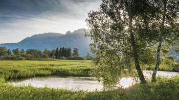 Paysage aquatique calme dans la réserve naturelle du Ruggeller Riet avec une douce lumière du soleil et une vue sur les montagnes en arrière-plan
