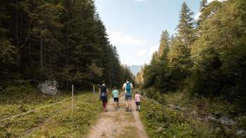 Une famille se promène sur un large chemin naturel à travers une partie de la forêt en direction de l'alpage de Valüna.