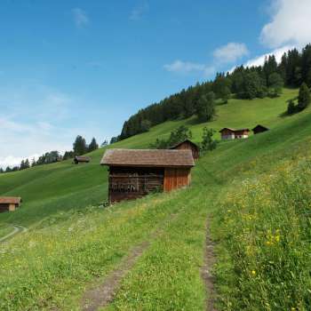 Pâturages alpins avec des étables en bois éparpillées sur un versant verdoyant près de Masescha.